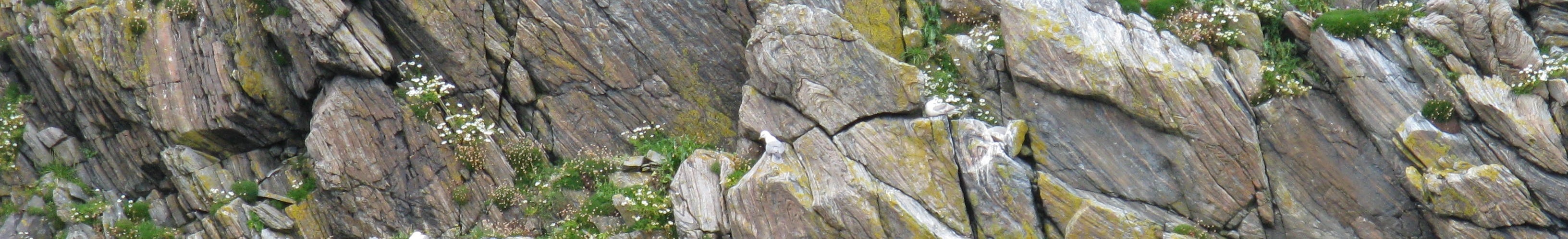 Rock